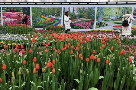 新的一天开始精美语句 早安正能量简单一句话推荐37句