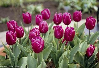 怦然心动最经典的一句话