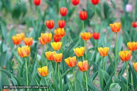 对爱失望死心的句子