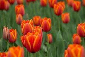 谈人生的最经典的句子合集66句