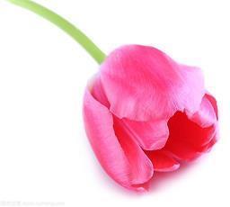 心烦心里空荡荡的句子