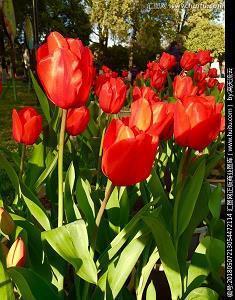 女人致自己的一段话,精致优雅,越看越入迷汇总80句