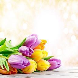 适合女孩子发自拍的句子，简单干净，令人一秒倾心