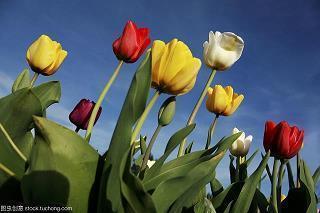 每日晨语励志收集27句