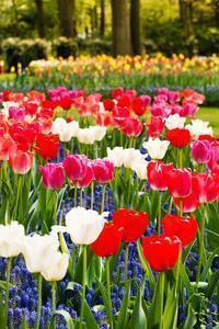 唯美伤感迷茫句子66句