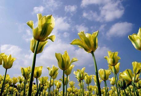 有创意的生日文案精选(精选100句)