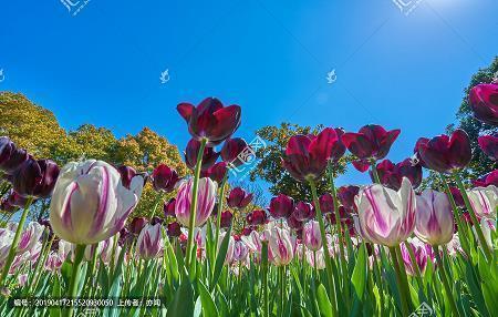 分手好聚好散的句子