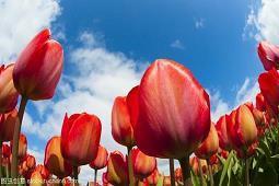 无法释怀的伤心句子