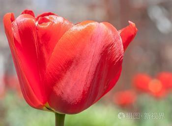 灵魂和身体在路上唯美句子汇编35句