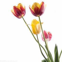 表达失望心寒的说说 表达失望心寒的句子集锦28句