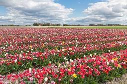 祝自己生日快乐朋友圈说说文案2021年精选84句