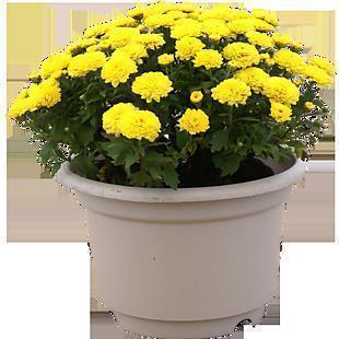 用海市蜃楼造句 海市蜃楼是什么意思