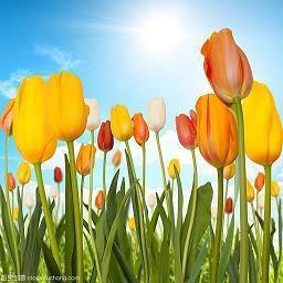 有幸与你相遇文案 遇见的句子唯美简短