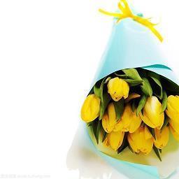 是时候该放手了的句子(精选38句)