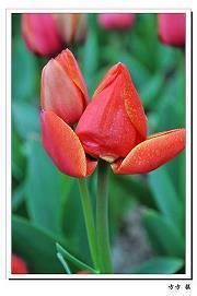 2021你好五月句子心情说说汇总103句