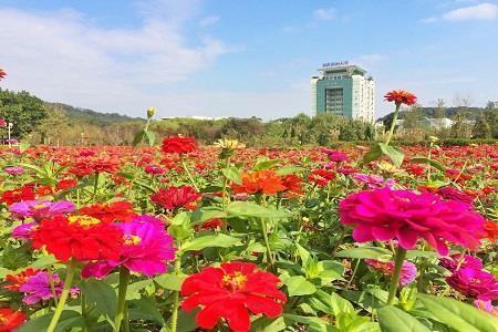 表达内心难过的句子