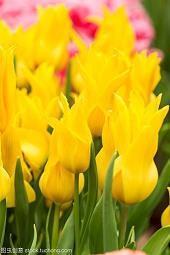 腊八节个性创意祝福短信语录