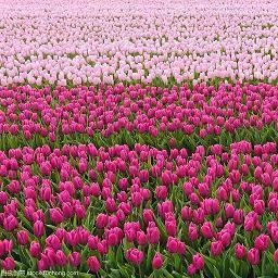 做事拼尽全力的句子 竭尽全力的励志句子