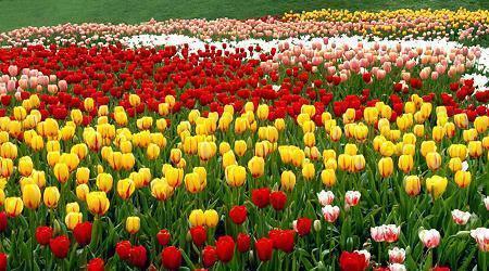 沙雕又开心的句子