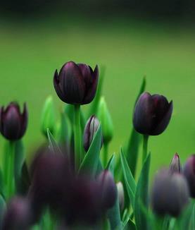 感慨婚姻的伤感句子 我会冷暖自知，更会好自为之