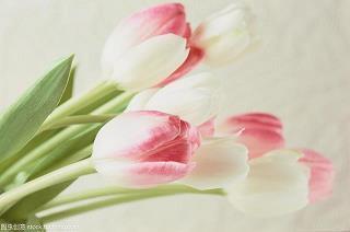 没有所谓失败，除非你不再尝试 简单乐观心态的句子汇总33句