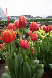 心情低落无奈句子简短发朋友圈