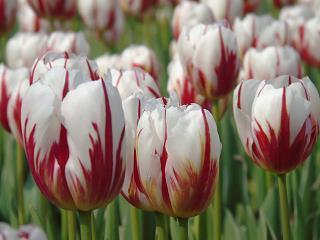 描写雨的句子优美短句(精选51句)