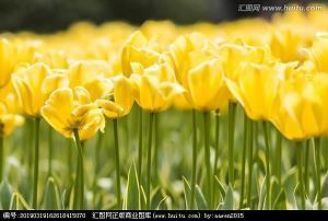 2021适合中秋节发朋友圈的文案(精选74句)