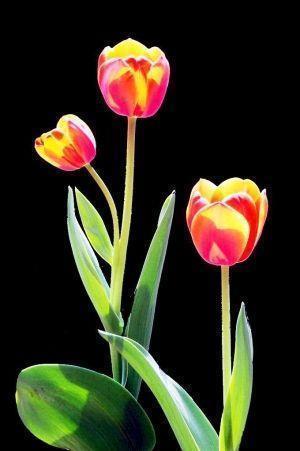 校园秋季运动会加油宣传口号2021大全(精选38句)