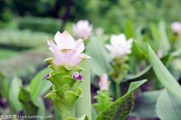 2021年适合发朋友的句子78句