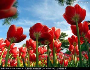 适合晚上发的宵夜说说