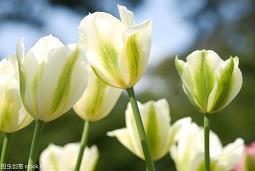 从小要有远大的志向的名言合集30句