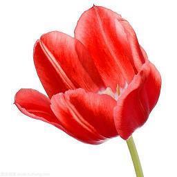 描写下雨天的唯美句子 关于雨的唯美句子(精选33句)