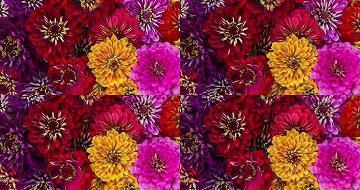 个性签名关于不开心的句子