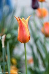 描写冬天景色优美句子