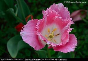 描写景色优美的句子摘抄 描写景色优美的句子