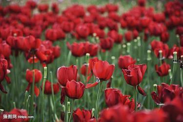 真正相爱的人的句子(精选91句)