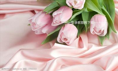简单一句晚安致自己 抖音很火的短句晚安合集30句