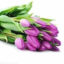 适合2020年发的总结话语文案最新