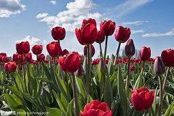 莫名伤感的句子 孤独的句子说说心情(精选32句)