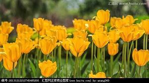 怀念科比的句子 科比意外去世