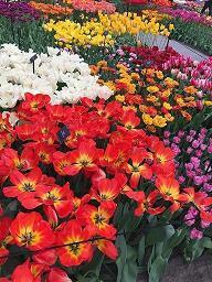 早安语录正能量致自己阳光心情短句汇编39句