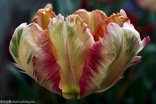 2021祝福家人的句子68句