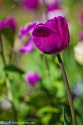 情感晚安心语收集20句