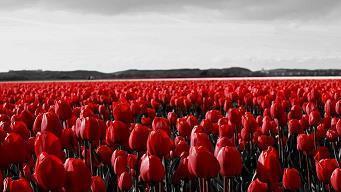 深情表白的话高深一点