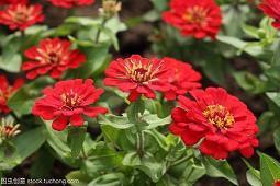 聆听是一种修养句子