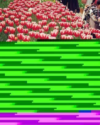 早上好祝福语优美句子 早安心语正能量文案合集69句