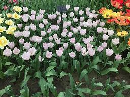 老师对学生伤心失望的句子