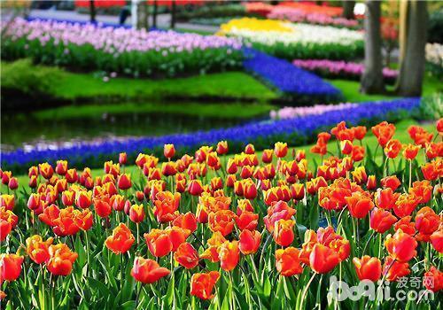 抖音网红句子2020