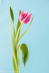 搞笑心情句子80句